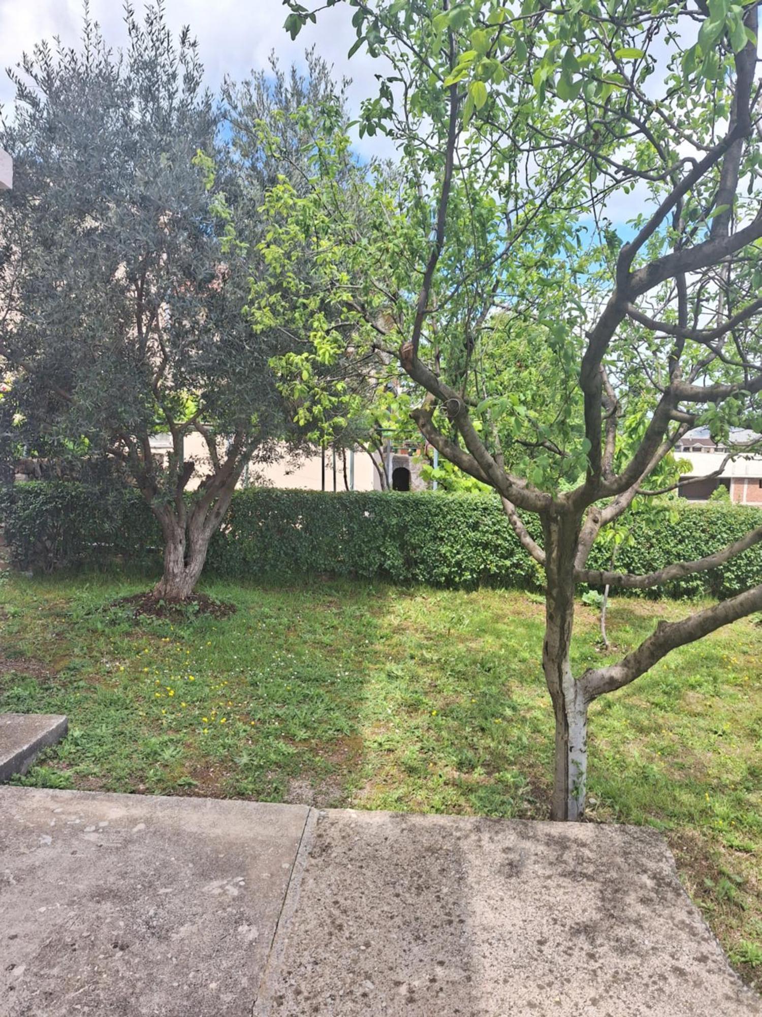 Apartmani Ruza Podgorica Exterior foto